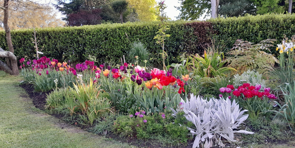 How to Create an Amazing Spring Flower Garden by Planting Beautiful Bulbs!